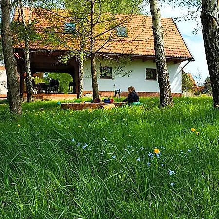 Charzykowska Alojamento de Turismo Selvagem *